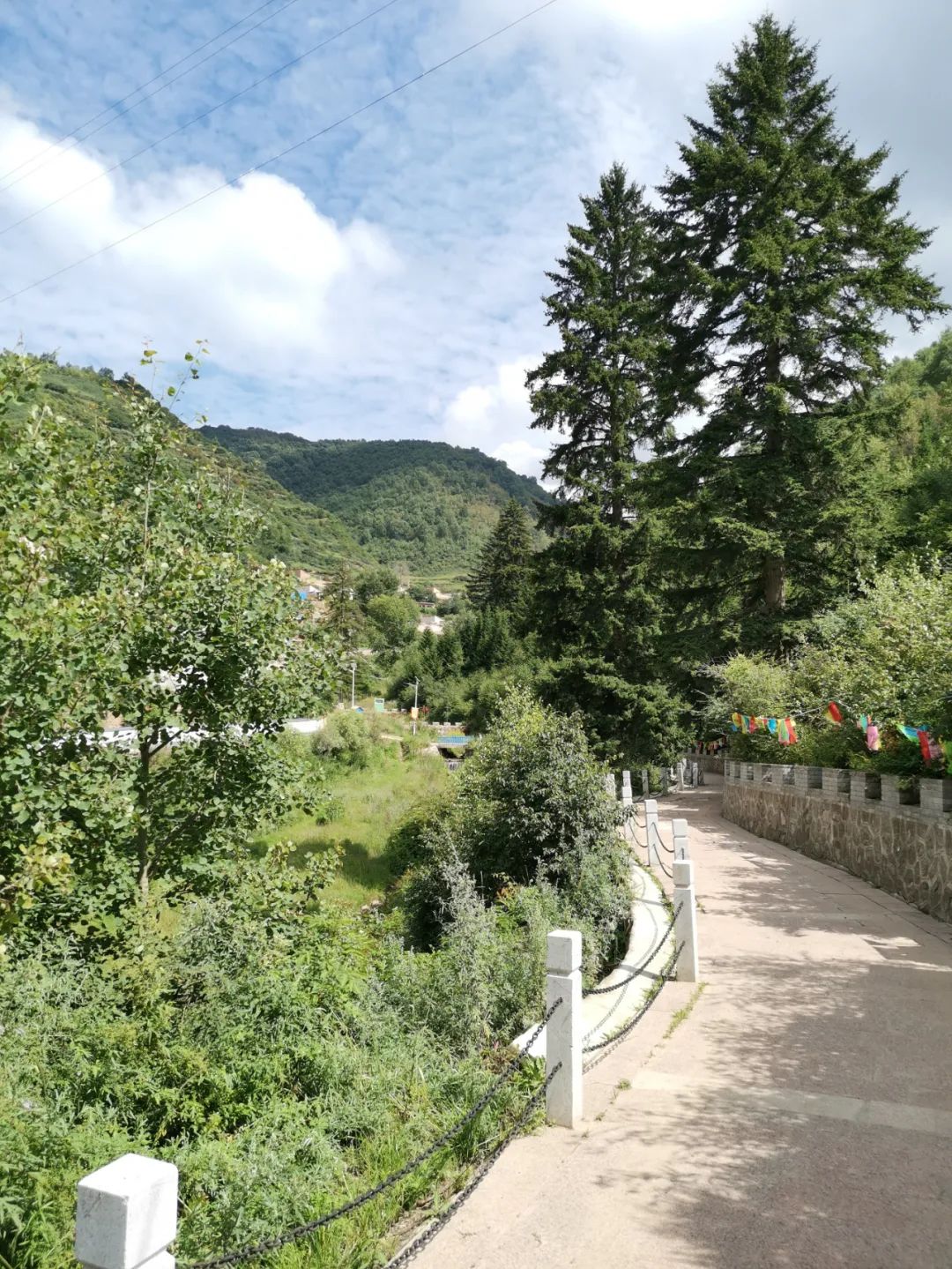 我们这十年原视频,我们这十年东乡