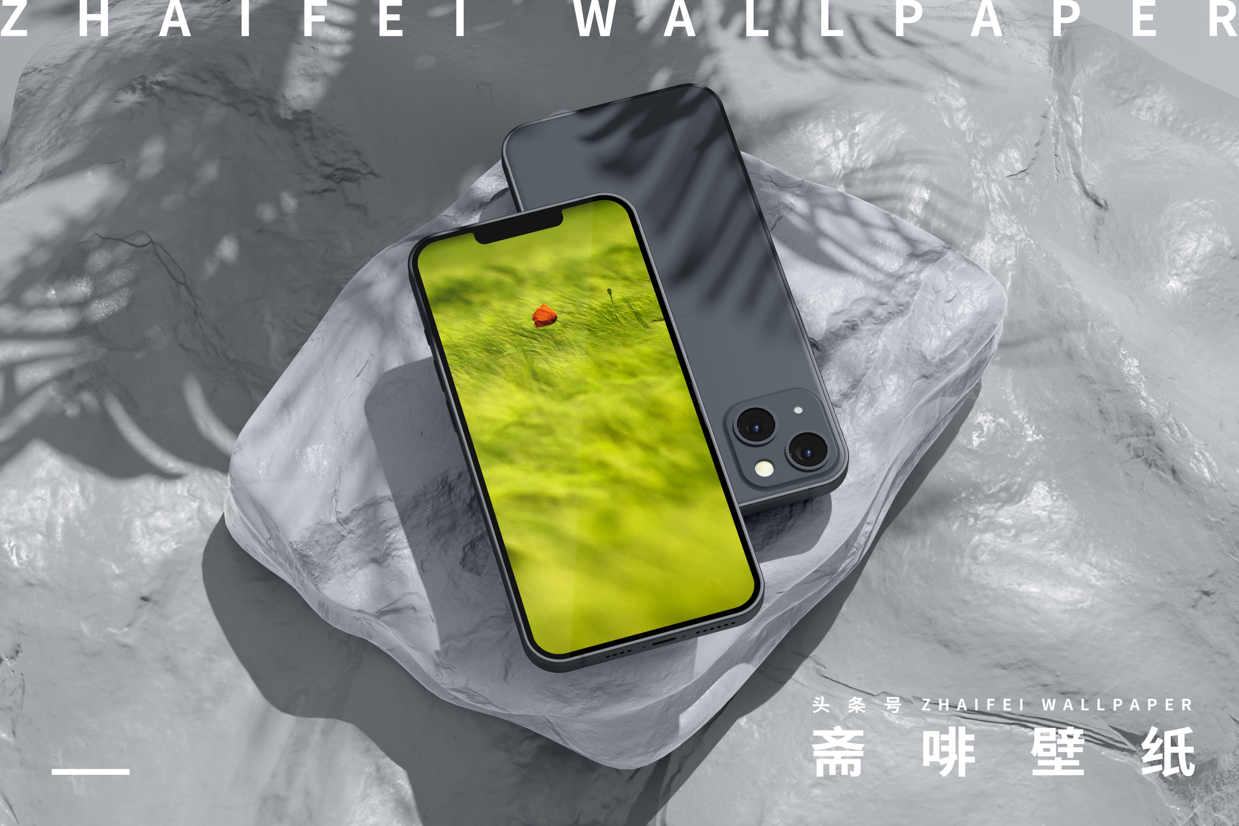 苹果专用壁纸全屏花,花图片壁纸高清全屏