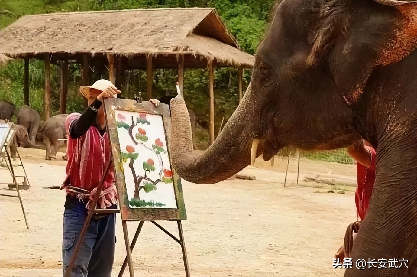 全网最近大事件,最大丑闻案件