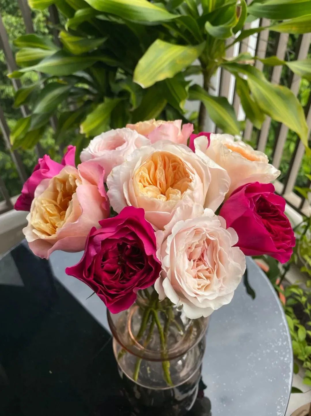 新手必看鲜花养护攻略,鲜花在水里能养几天会死