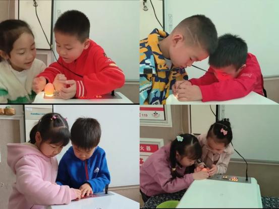 成都武侯六幼探索生命的奥秘之小鸡成长记