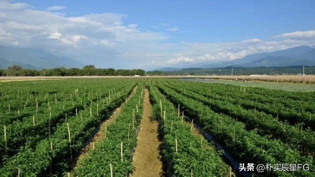 农民致富的出路在什么地方,新形式下农民如何增收致富