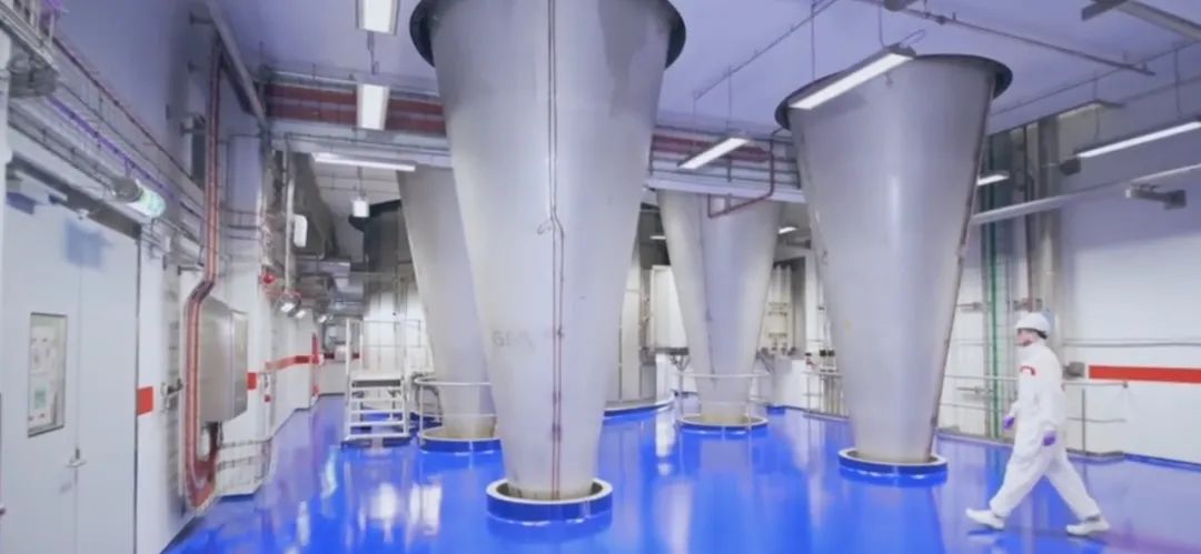 谁在说谎儿童版,爱他奶粉有虫