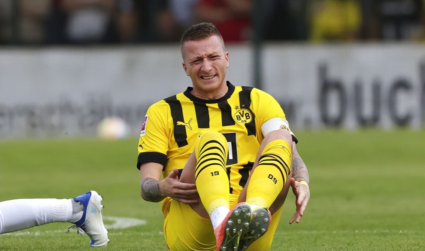 世界杯法国队受伤,本泽马世界杯受伤