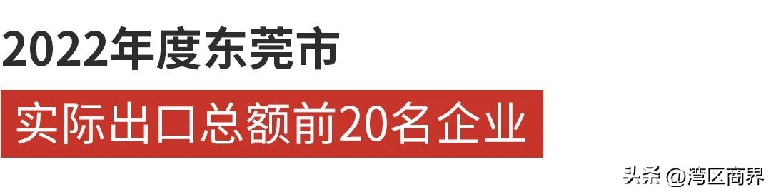 东莞开发商最新排行榜,东莞十大独角兽企业