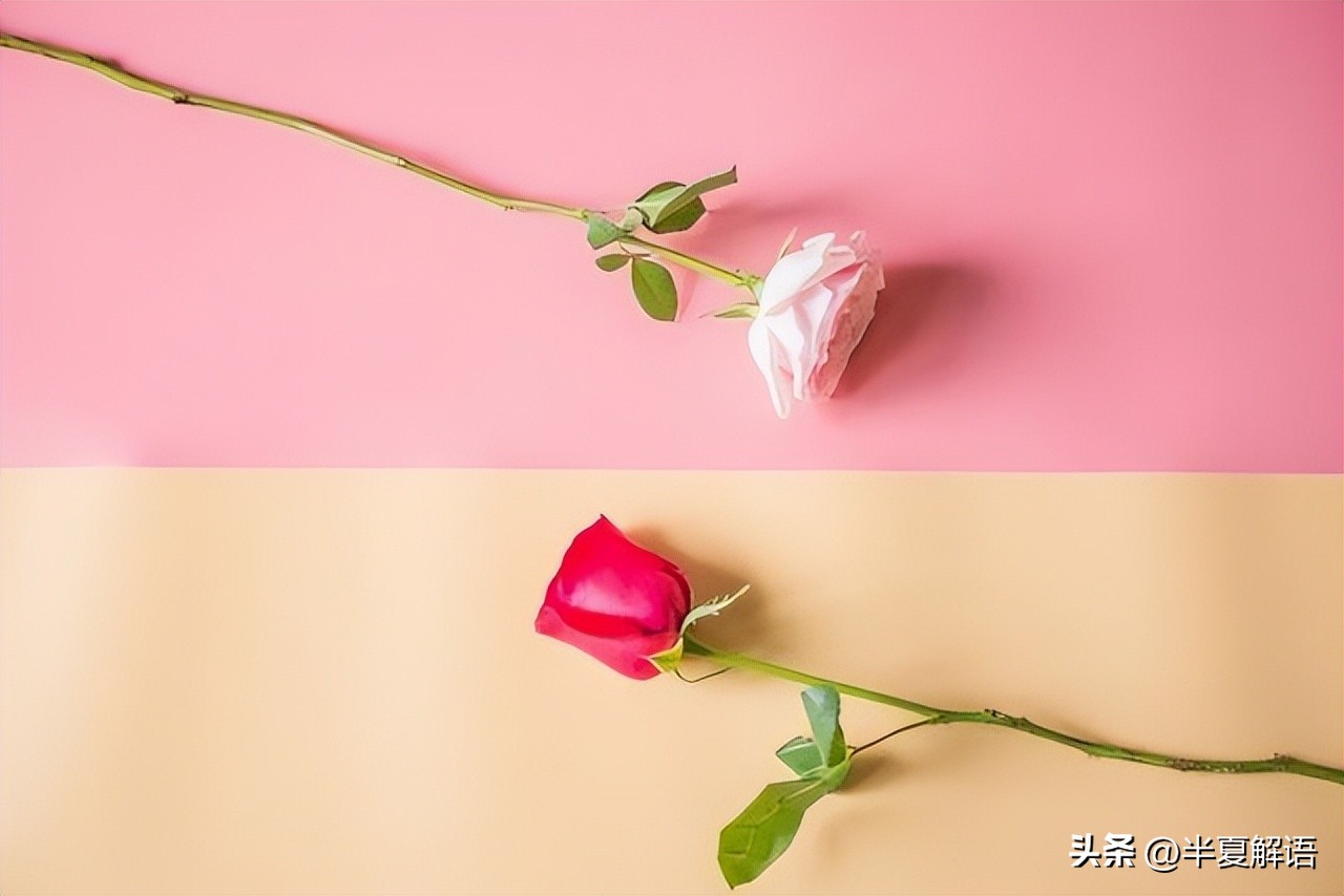 婆婆和小姑子照顾坐月子媳妇下集,婆婆生病3个女儿轮流伺候