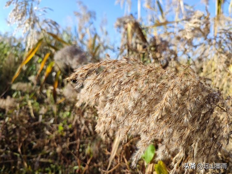 云南昆明滇池小渔村展新颜,滇池边的小渔村