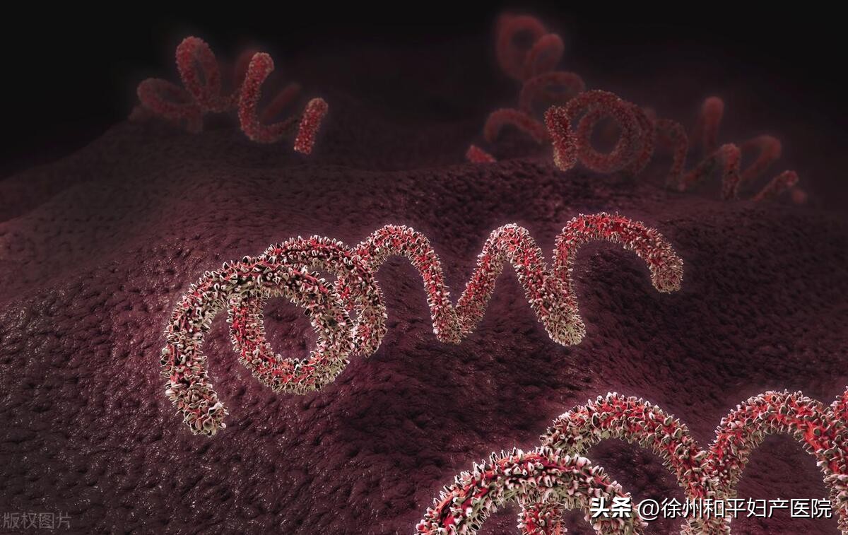 7个月孕检还正常，生前居然查出梅毒！究竟谁传染的？