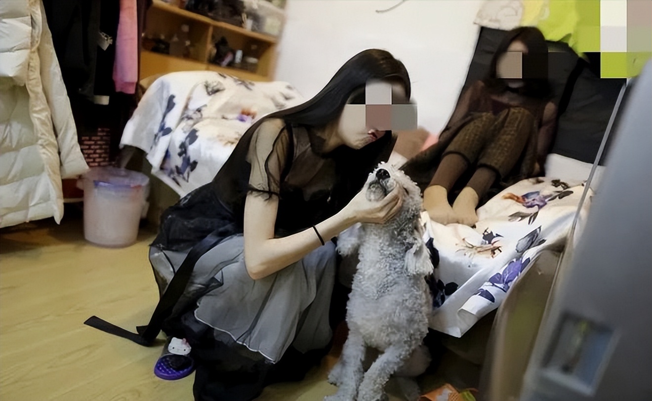 全网最火的黄鳝,黄鳝市场现状