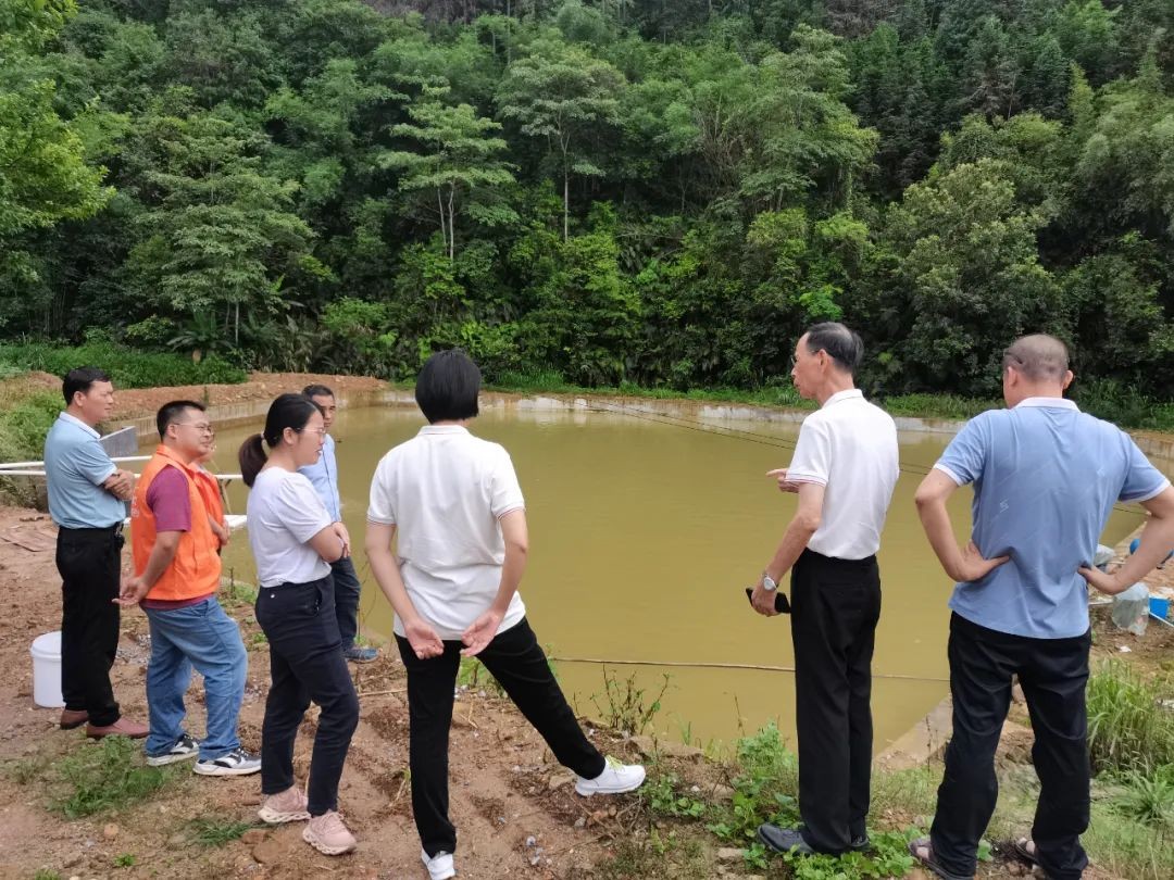 广东鼎湖民建、肇庆恒泰公司到昭平县走马镇开展结对帮扶工作全方位推动产业振兴