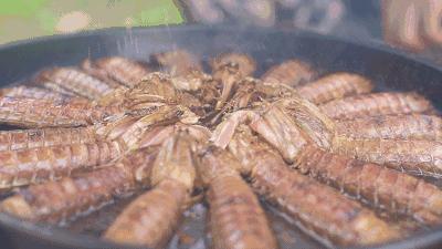 中国哪里可以吃超大皮皮虾,中国吃皮皮虾最好的地方