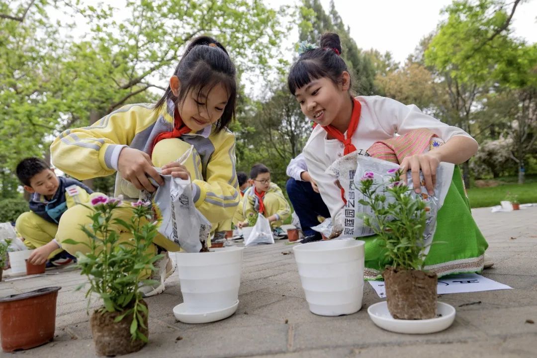 西单小学西城金融街,西单小学
