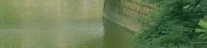 自媒体写作怎么赚到钱,写作自媒体平台