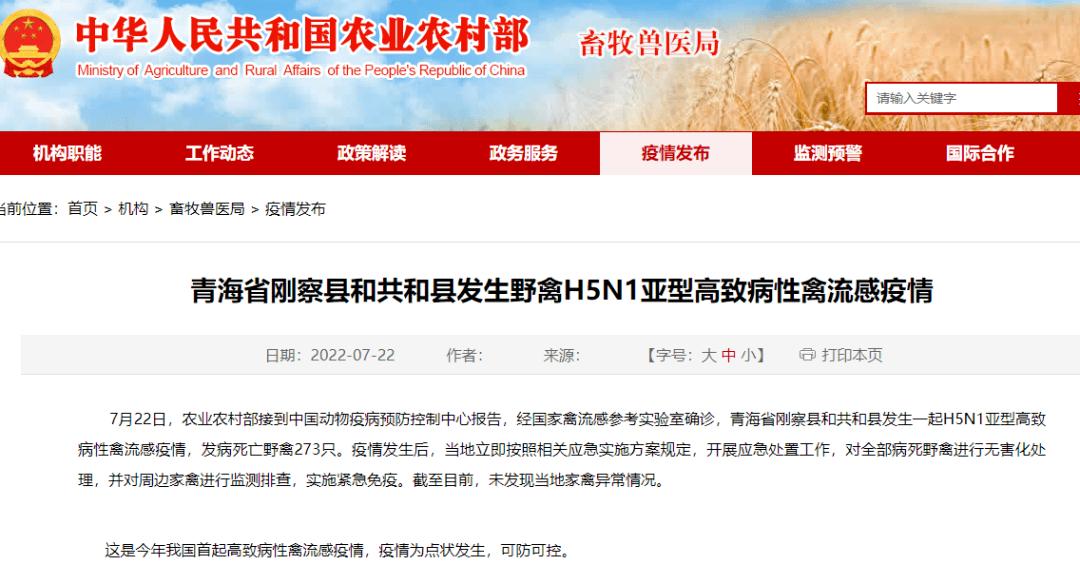 警惕！中国及周边暴发禽流感、非洲猪瘟等疫情