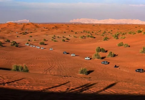中国在迪拜沙漠试种海水稻的过程,中国在迪拜种植海水稻的有利条件