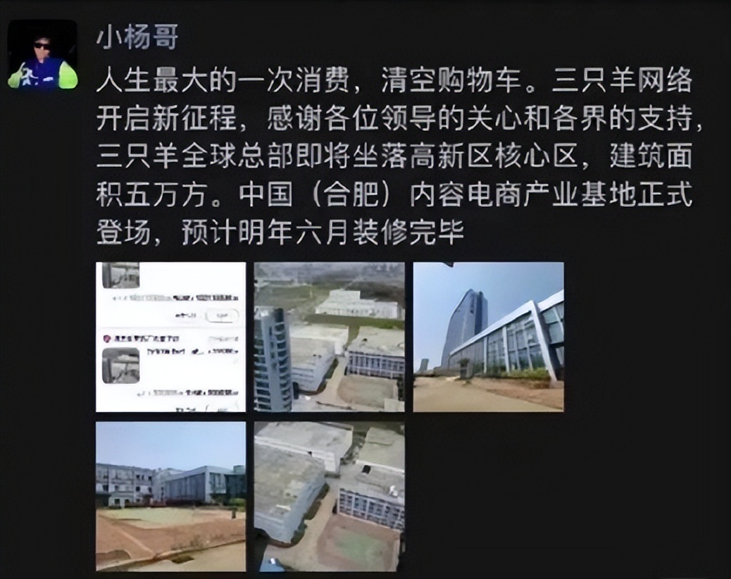 小杨哥被打假的破壁机,小杨哥小型破壁机热卖榜第一名