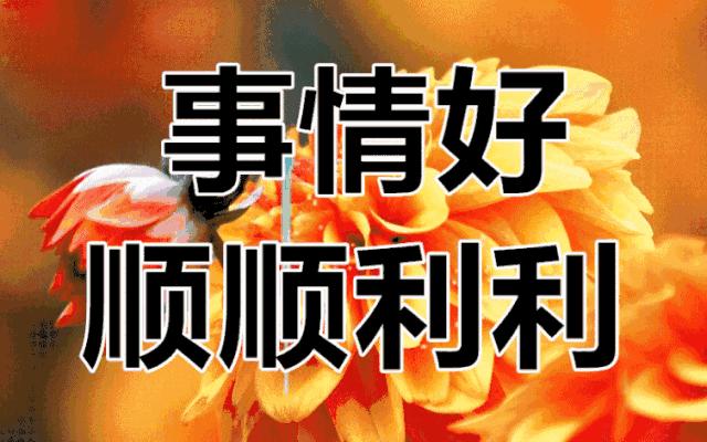 最新早上好表情动图大全,最新的早上好祝福表情图片大全