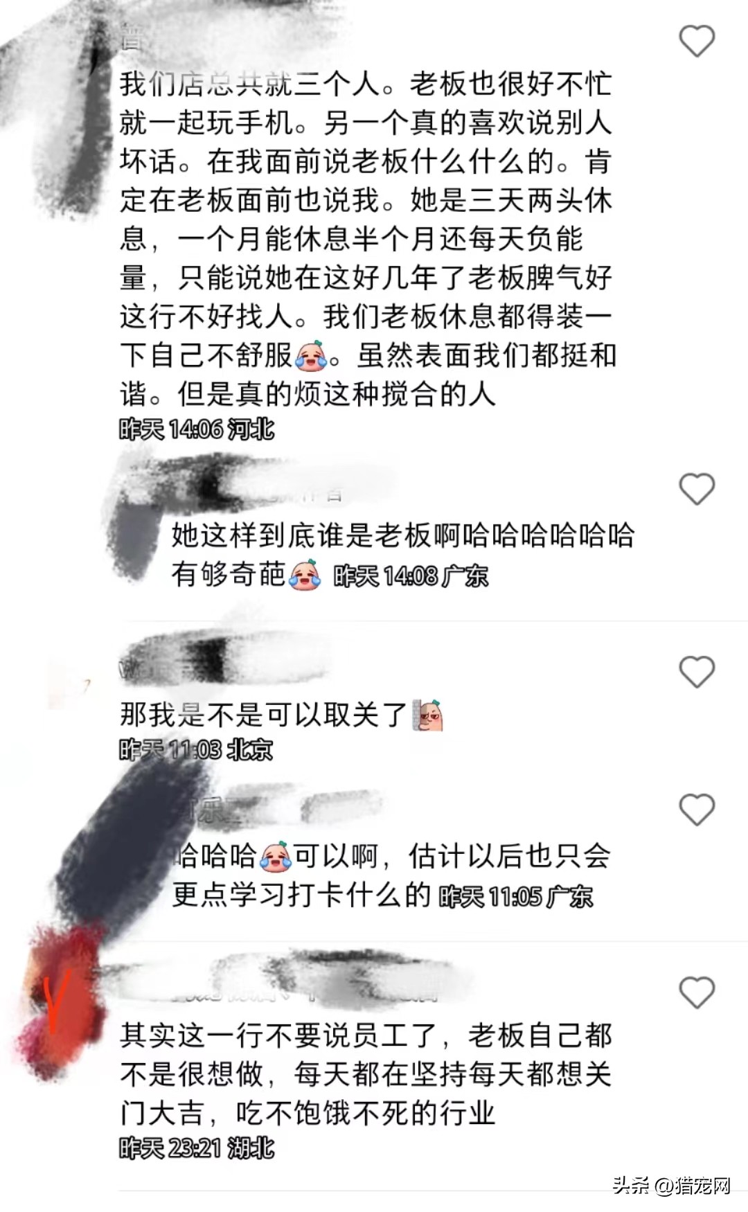宠物店打工需要什么学历,没有经验可以去宠物店打工吗