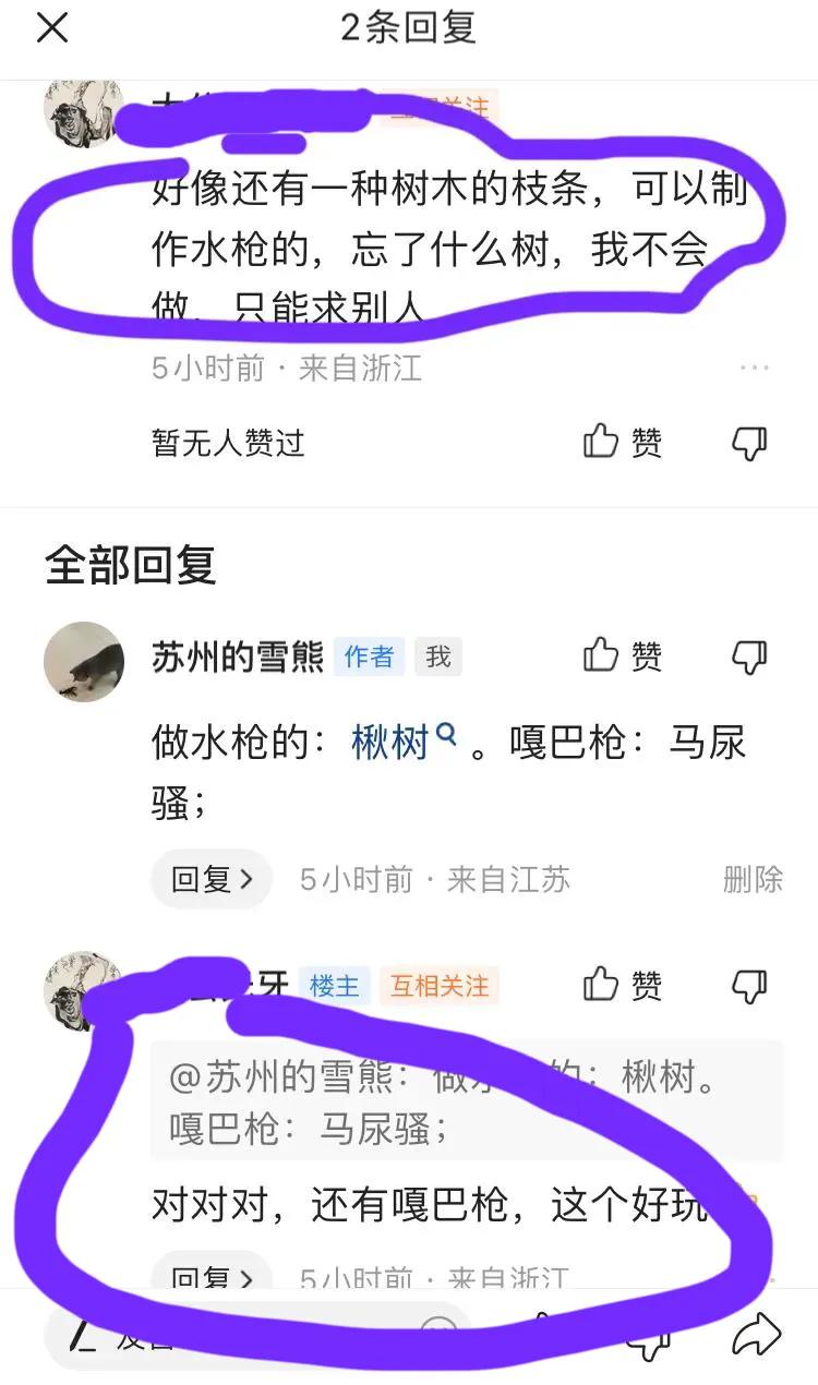 晨露午拾（24）——我的三把“枪”，构成了男孩子的童年