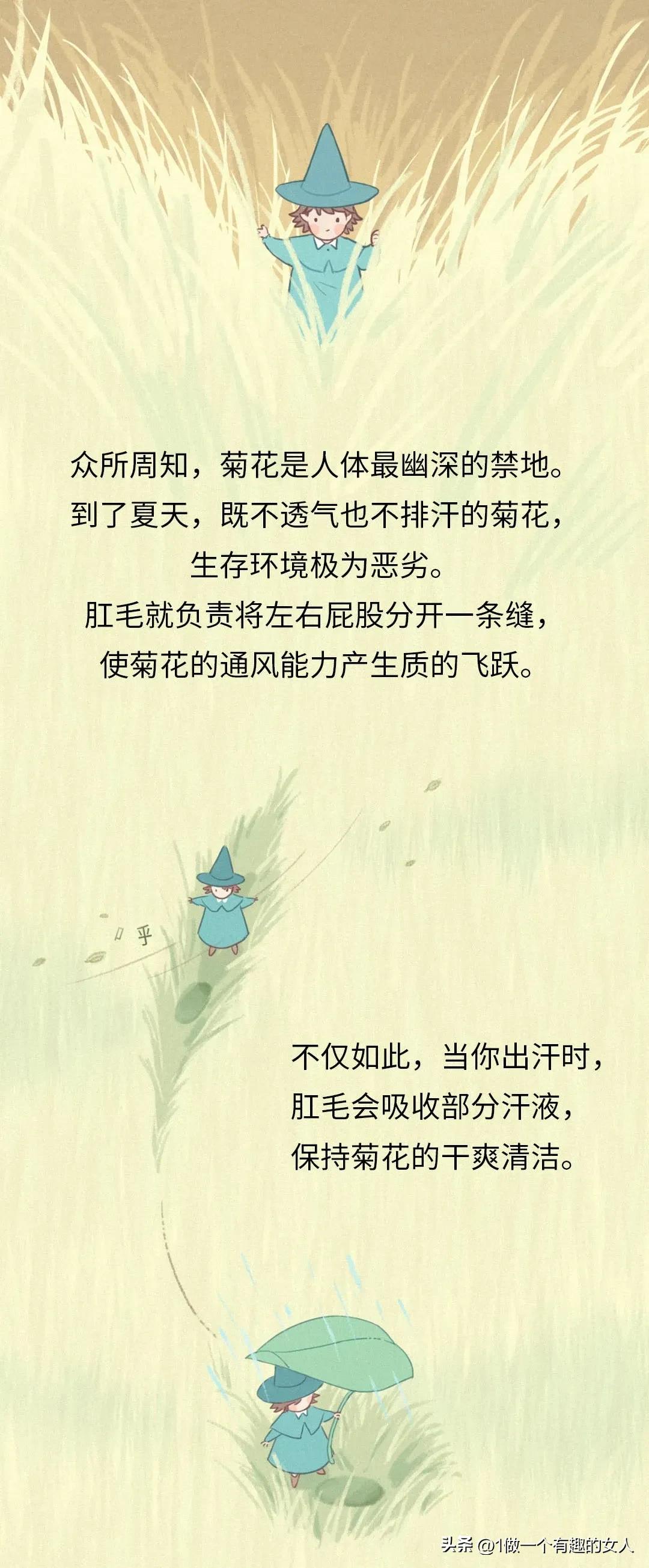 菊花毛、*处私**的毛能随便剃吗？有危害吗？