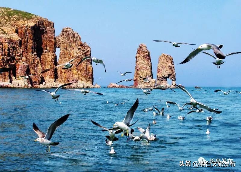 玩转蓬莱岛,玩转长岛