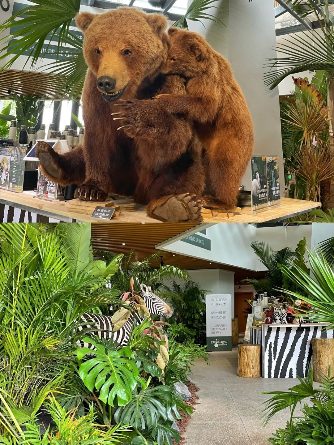 放假去哪里玩又便宜又好玩成都,假期去哪玩便宜又好玩儿成都