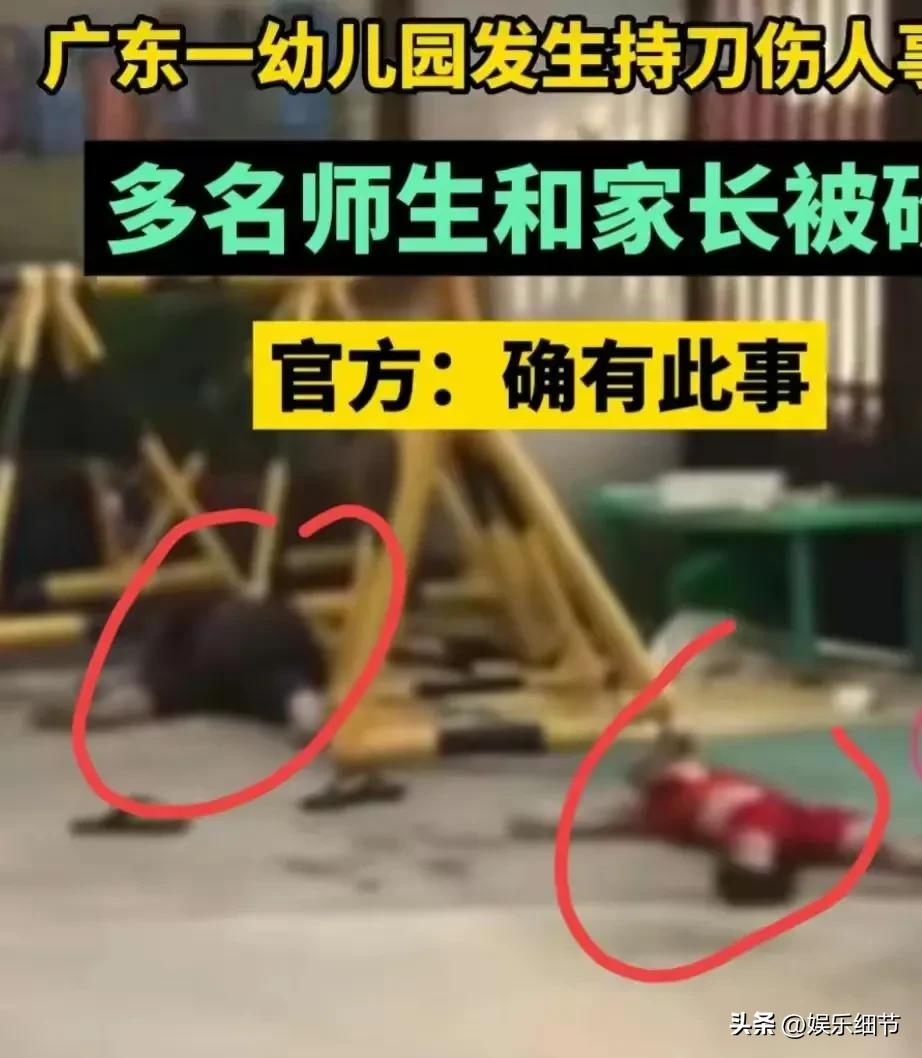 幼儿园歹徒行凶真实事件,持刀砍杀幼儿园案件