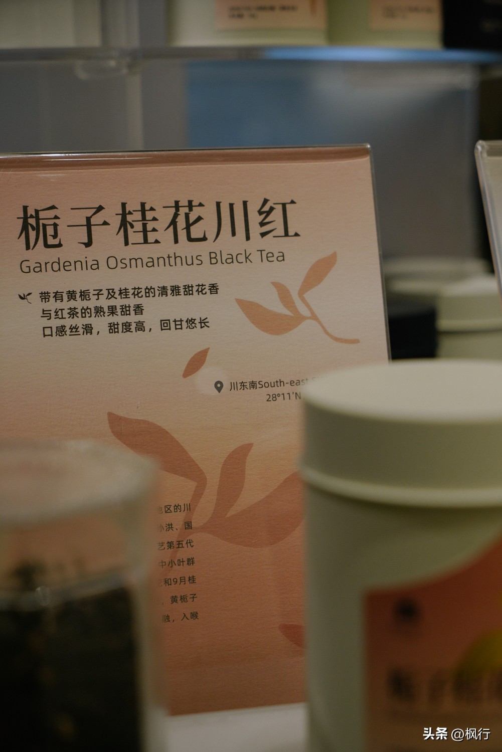 广州早餐吃什么早茶好,广州早茶推荐去哪吃