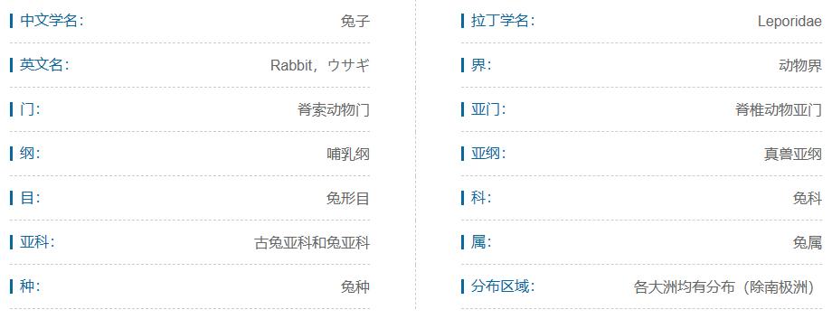 素食宠物食品,素食宠物零食有哪些品种
