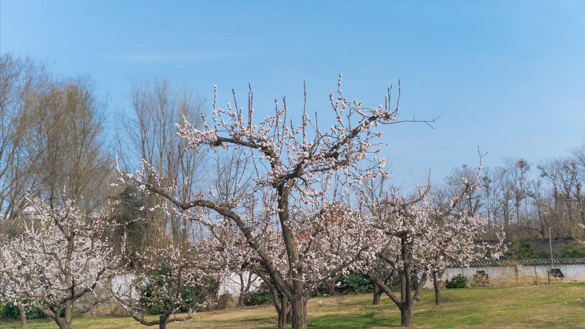 与书相伴与智慧同行,与书相伴静静地享受这段时光