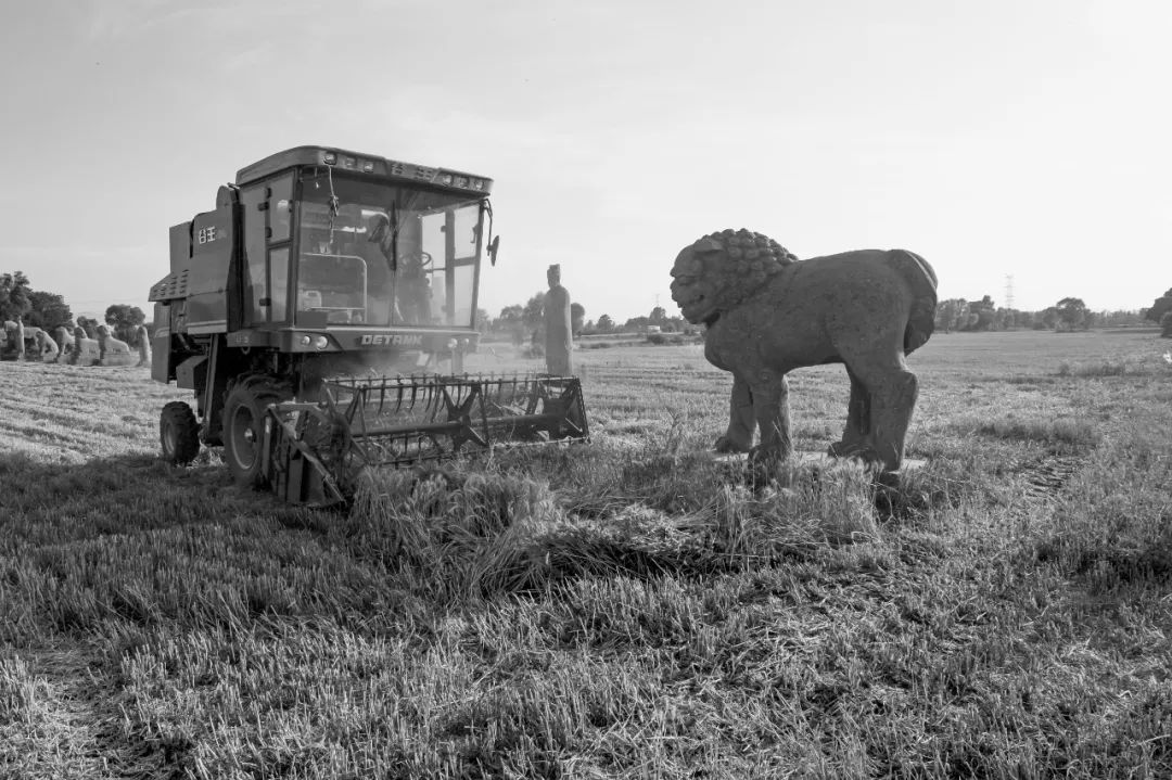 大师级摄影作品背后的五大法则,大师是怎么炼成的