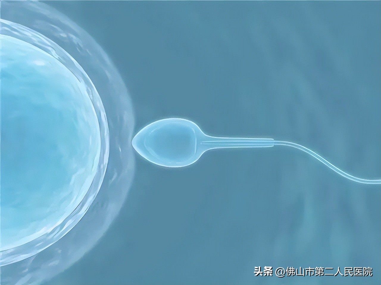 多地倡议“捐精”，但合格率仅20%？专家教你提高精子质量