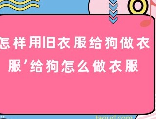 如何用废弃的衣服给小狗做衣服,怎么用旧衣服给小狗做玩具