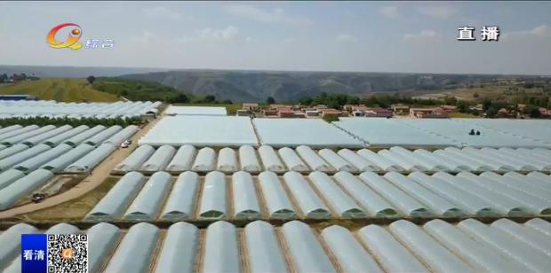 2020年4月份庆阳新闻头条,你好新闻