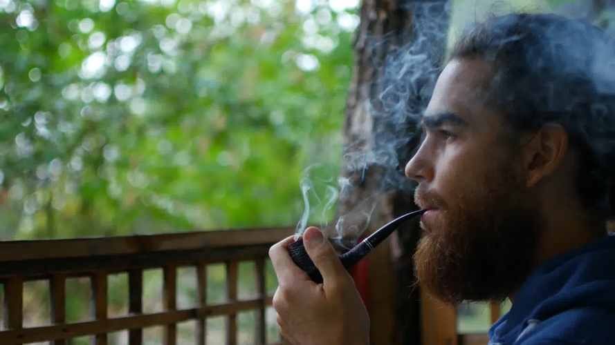 17世纪*草烟**被引进英国后不久，便成为贵族青睐的消费品