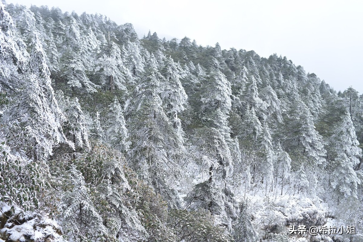 昆明机场周边有哪些旅游景点,元旦昆明周边有免费玩的景点吗