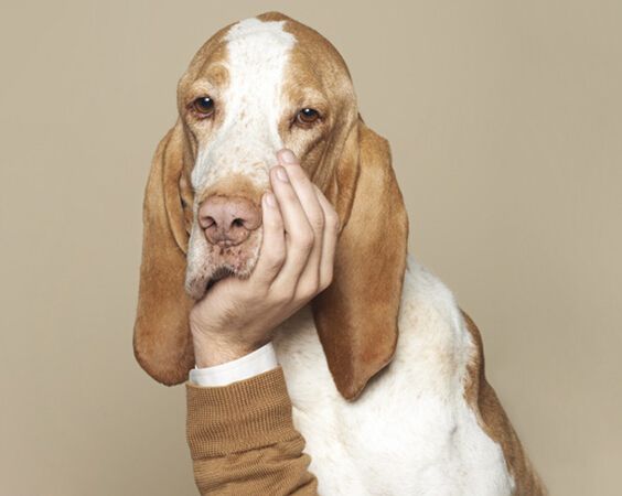 粤语常用语文字表达,连广东人都容易读错的粤语词语