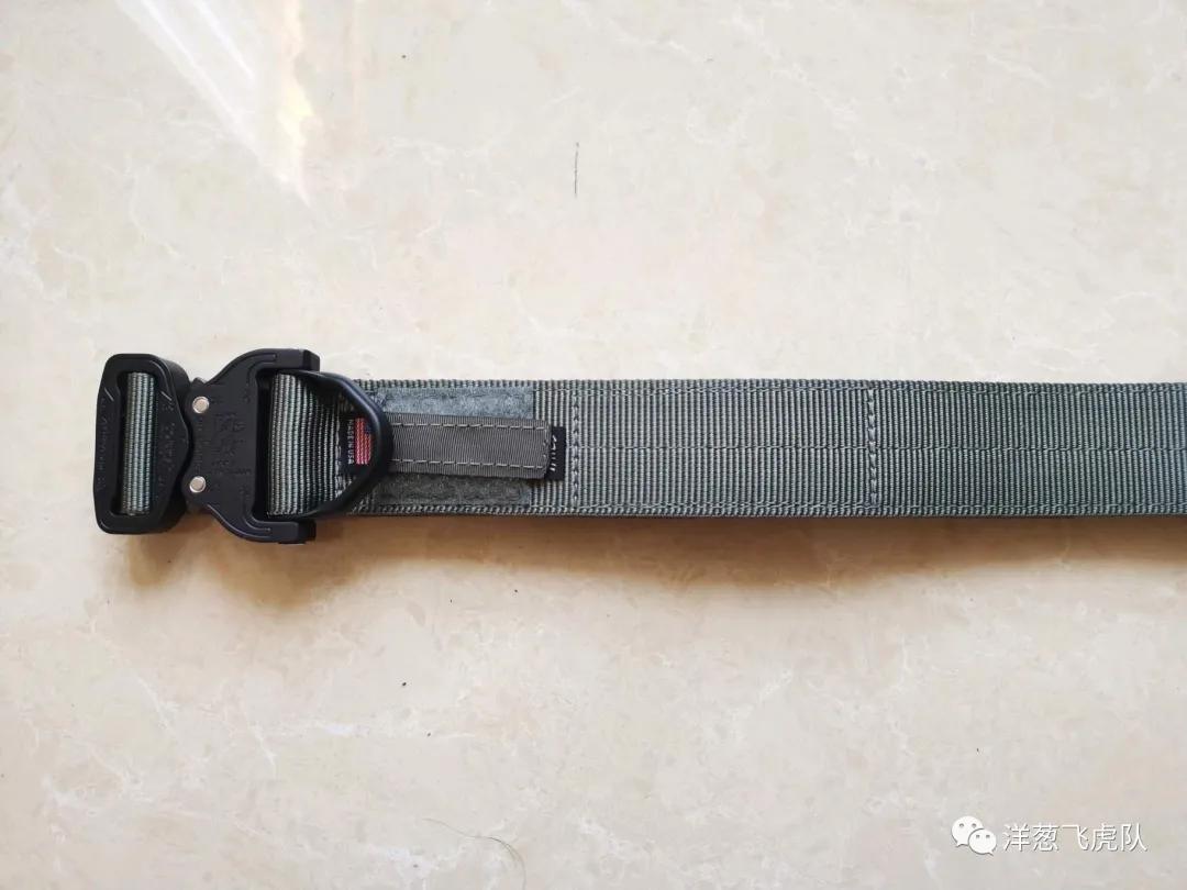 虎年说虎科普视频,虎年说虎运用了哪些说明方法