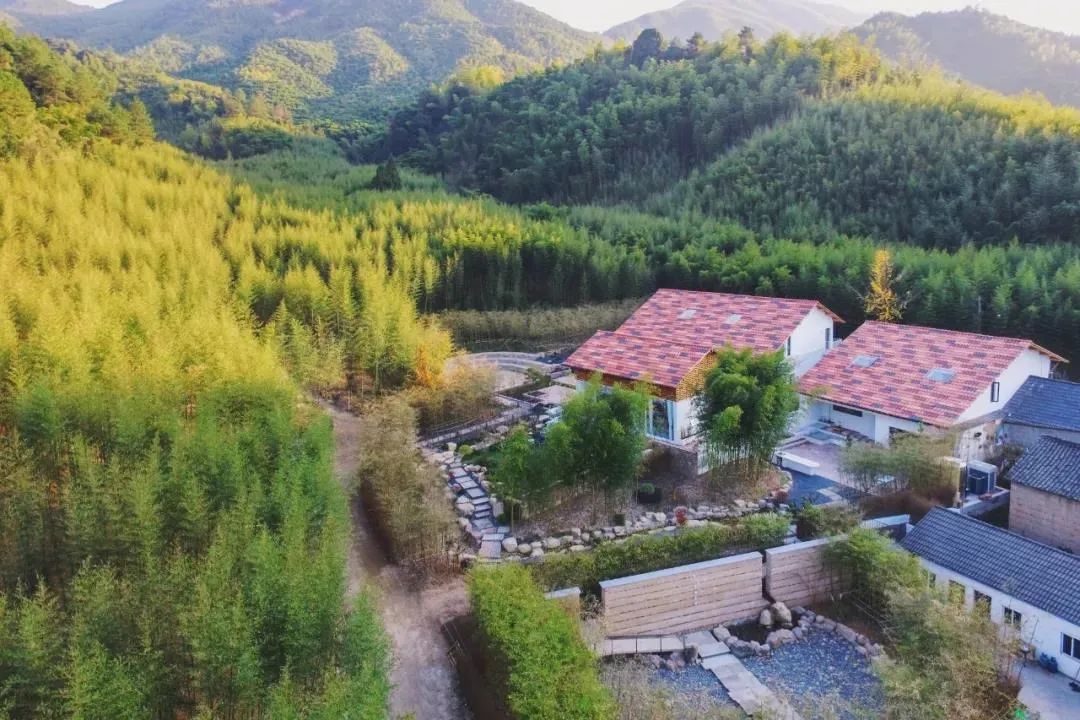 江浙沪附近避暑民宿,夏天莫干山性价比民宿推荐