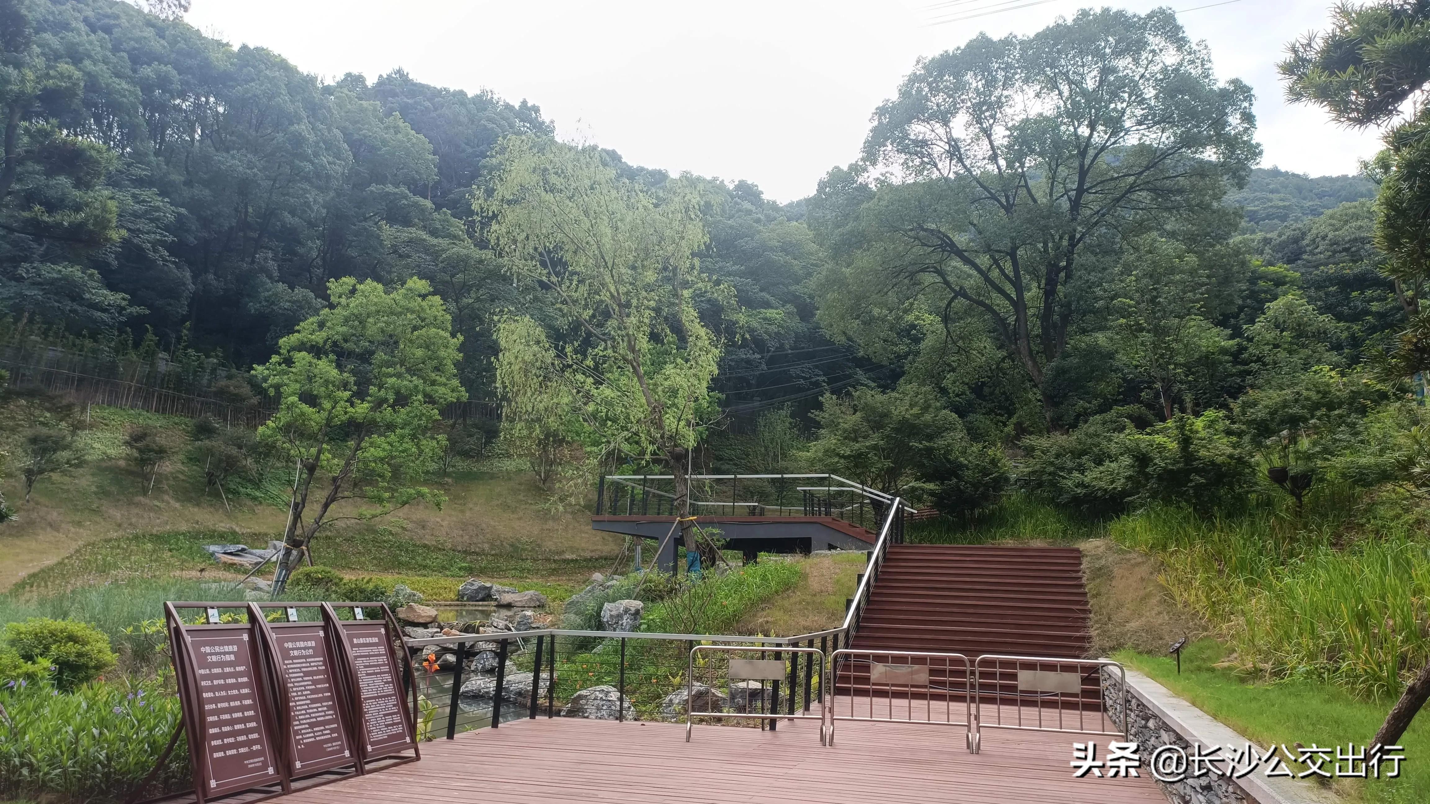 岳麓山从南门爬的攻略,岳麓山东门进南门出旅游攻略