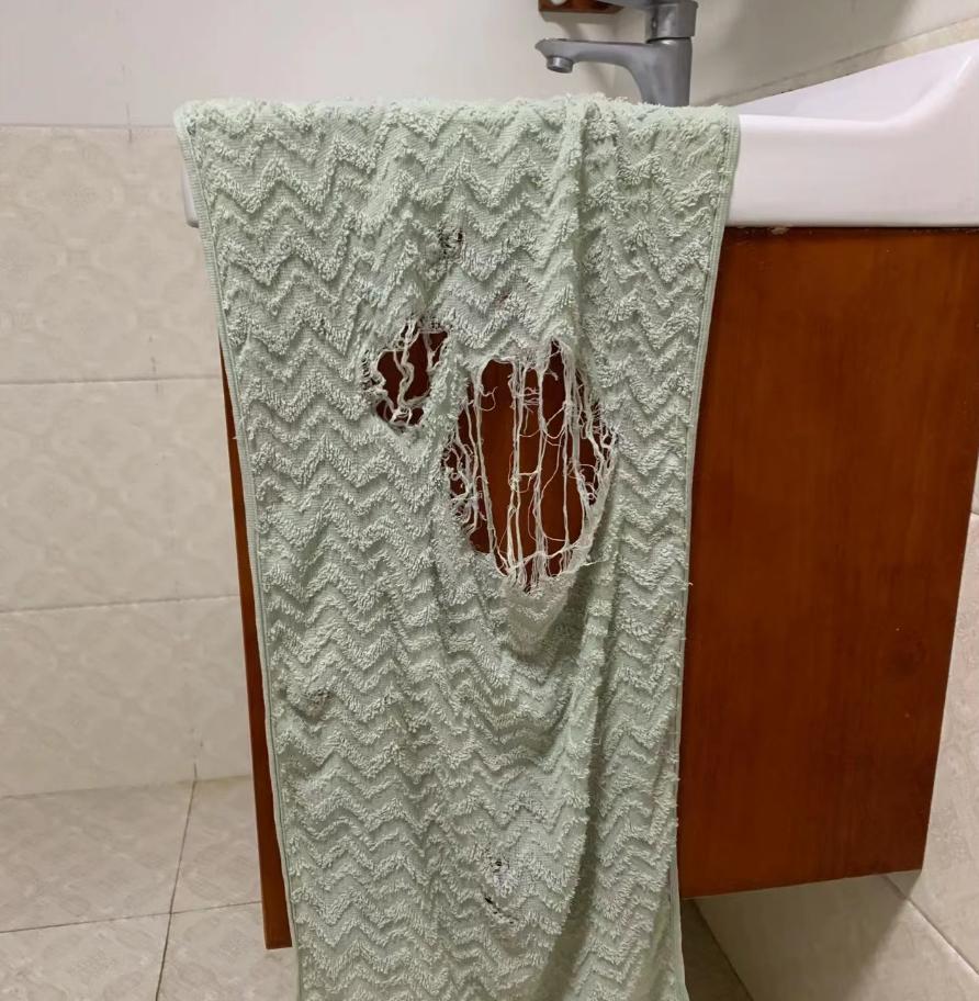 女大学生垃圾桶里捡“姨妈巾”，在床上小便，宿管阿姨被熏出眼泪