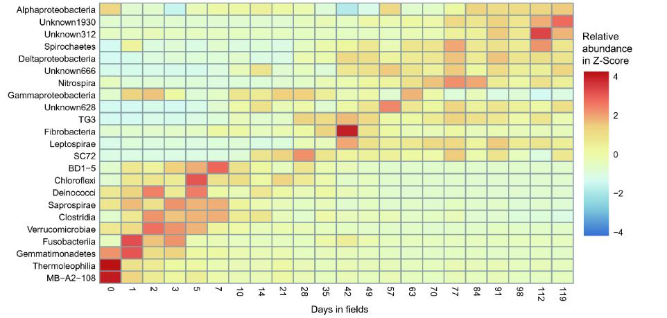 图形解读系列|给你5个示例，你能看懂常用热图使用吗？