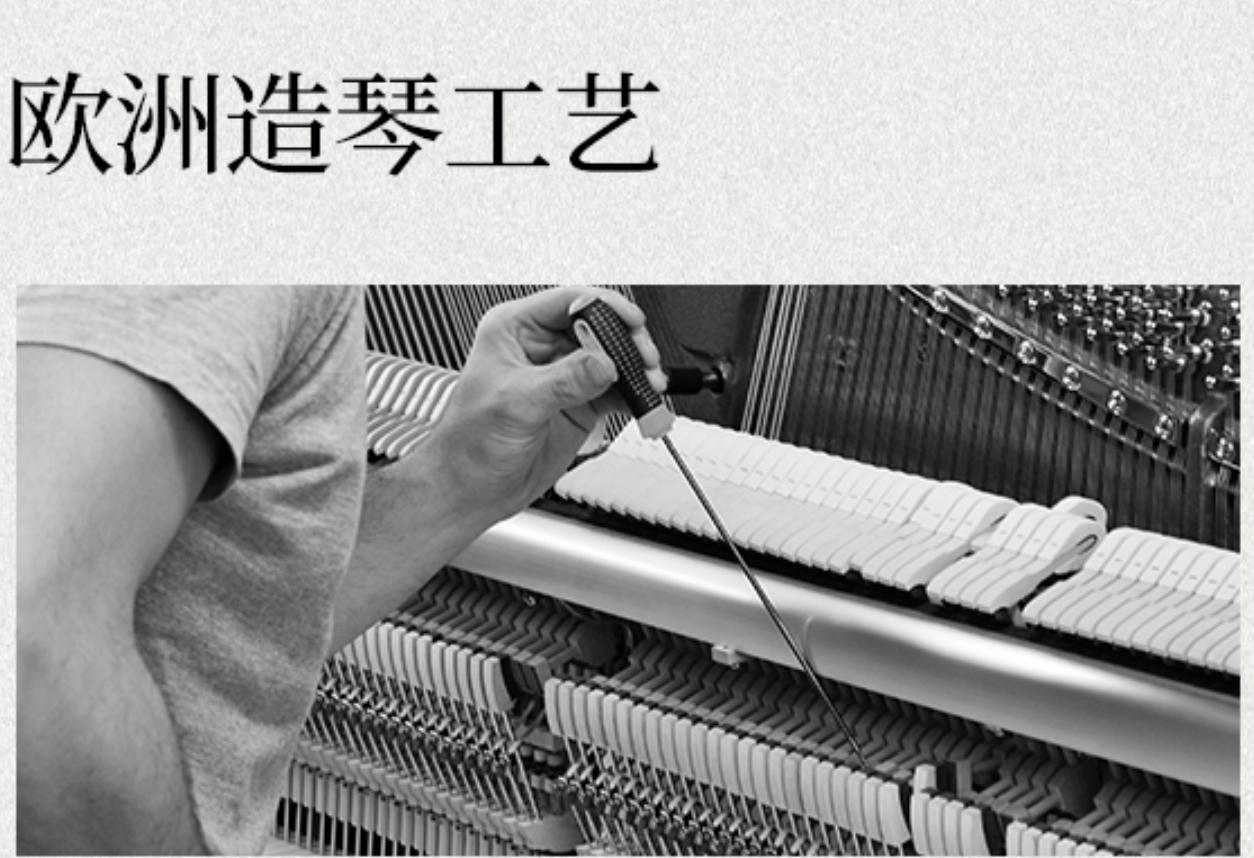 珠江顶级钢琴价格多少钱一个啊,珠江钢琴推荐哪个系列的琴好用点