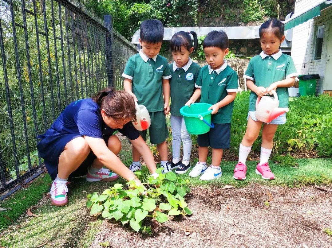 学费一月10万以内的幼儿园,鲸湾幼儿园怎么样