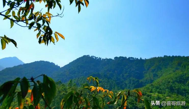 广西南宁上林景点旅游推荐,广西南宁上林游玩