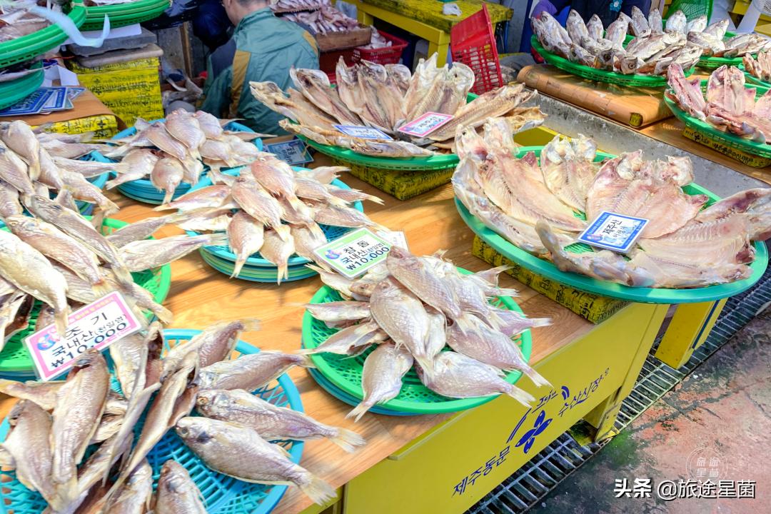 韩国|九月初的济州岛，时有风，偶有雨