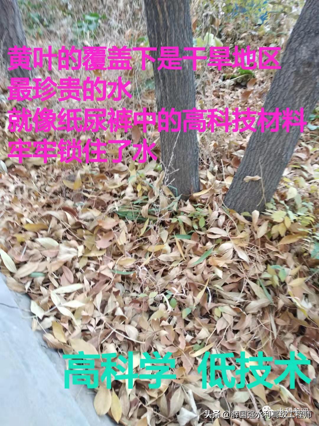 柴尔红、薛国强：我国水资源治理深度思考之西北篇（二）