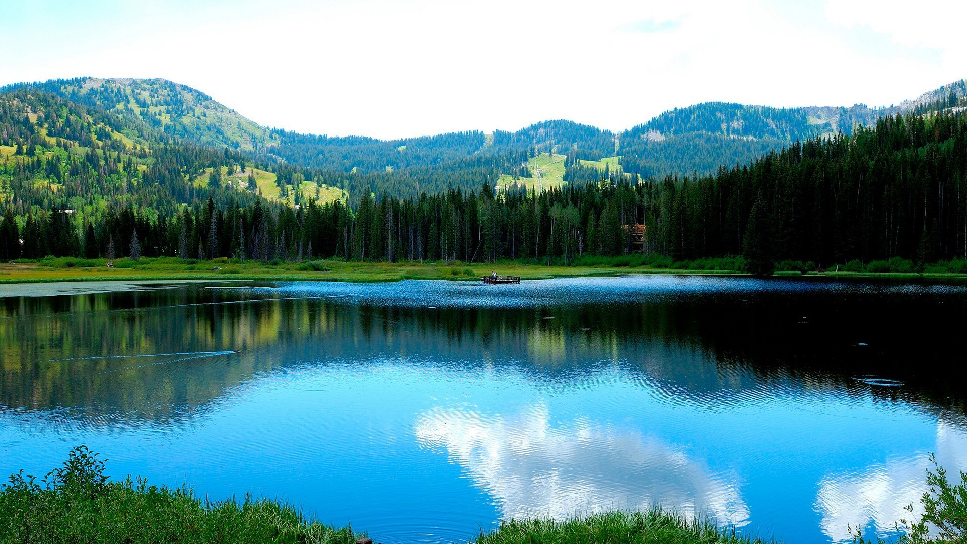 个人申请破产后债务怎么办,怎么申请个人破产无力偿还债务