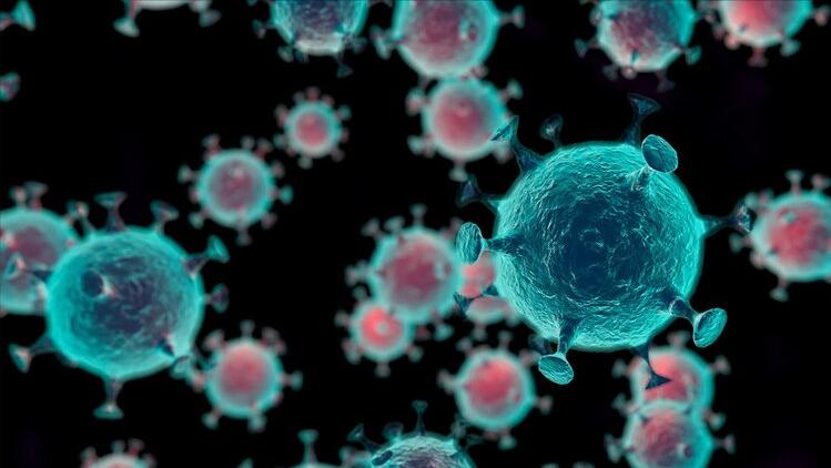 感染hpv患宫颈癌的几率大吗,感染了hpv一定会得宫颈癌