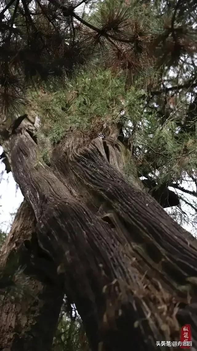 曰宛，曰宛中，隆，曰隆中，曰南阳，曰躬耕于南阳解密